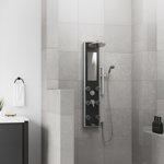 Leilani 8-in ShowerSpa with 6-Dual Function Body Jets Slide Bar Handshower and Built-in Mirror Black Glass and Chrome