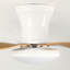 Ventilateur de plafond à profil bas à intensité variable de 40 po avec lumières DEL et télécommande Karlena (ensemble de 2)-116573979-116573980-116573983