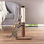 Grattoir avec jouet suspendu Petmaker