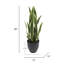 Plante de serpent artificielle Sansevieria en pot-117975296