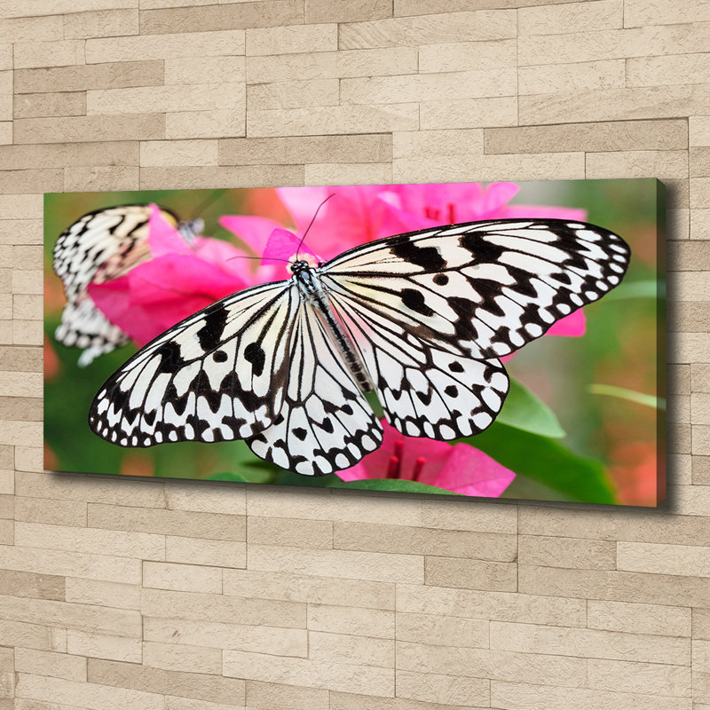Butterfly On A Flower - No Frame Print on Canvas