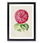 Bright Pink Camellia Flower Illustration - Framed Print-55621053-55621054