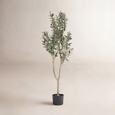 Aarav Artificial Olive Tree in Pot