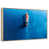 Floating Frame Natural Wood