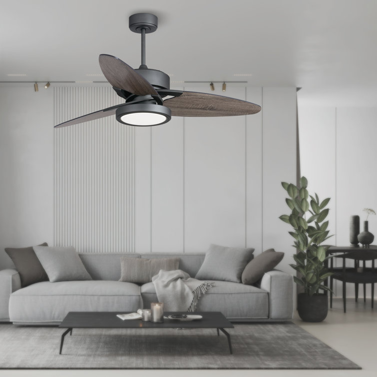 Cieron 52'' Ceiling Fan with LED Lights