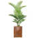Palm Tree in Planter