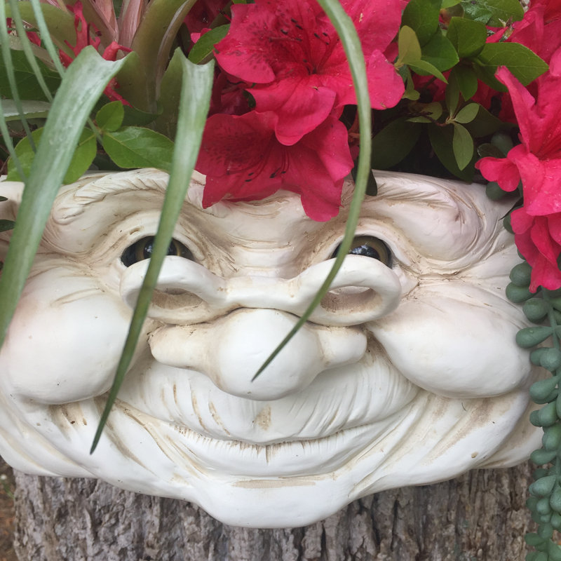 Jardinière murale mauve Muggly's Grandma, Blanc antique