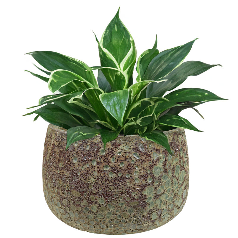 Kevelle Round Green Lava Finish Ceramic Outdoor Planter Pot, 10" H x 14" W x 14" D, 1