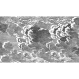 Fornasetti Senza Tempo Wallpaper Roll