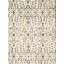 Oriental Area Rug
