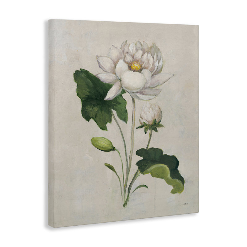  «Graceful Budding Lily», art mural sur toile par Julia Purinton, H 30 po x l 24 po