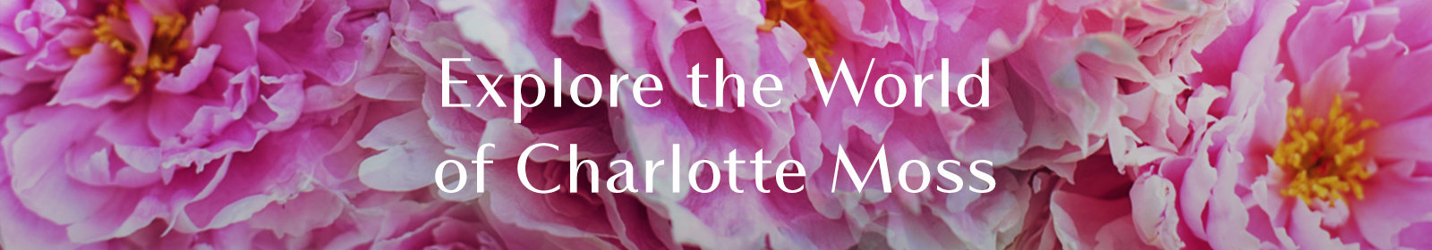 Charlotte Moss