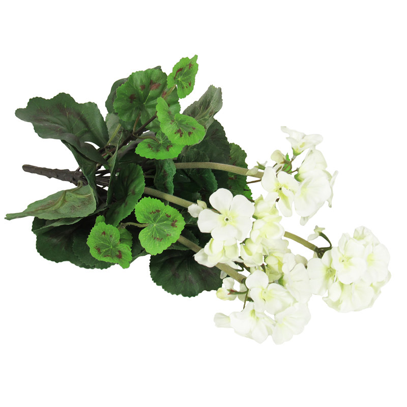 Fleur de géranium, Crème / blanc / vert
