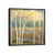 Black Floater Framed is unavailable
