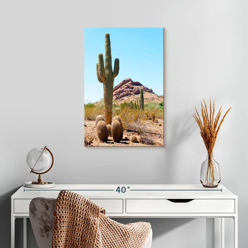 Harnek le cactus géant, H 24 po x l 16 po