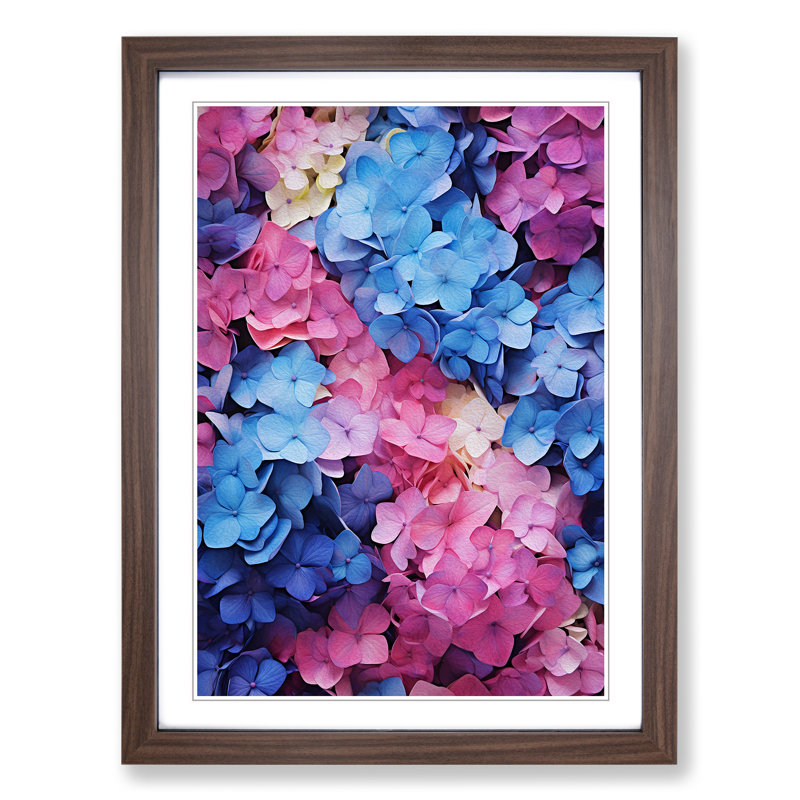 Hydrangea Colour Field - Framed Print, Walnut Framed, 64cm H x 46cm W x 2cm D