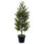 Artificial Pine Christmas Tree-814404348