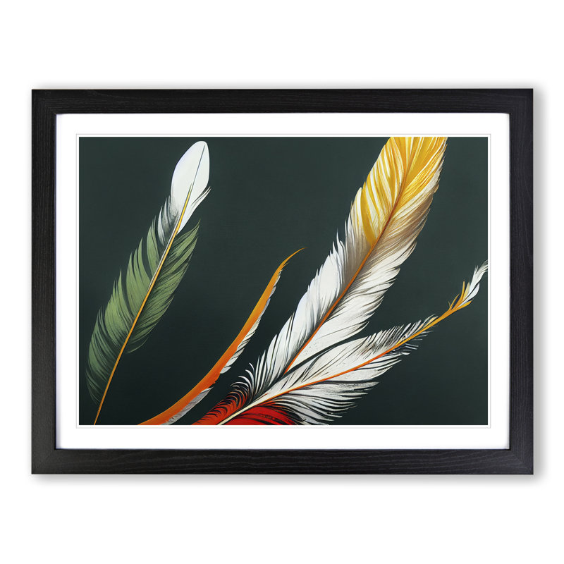 Prime Bird Feathers - Single Picture Frame Print, 46cm H x 64cm W x 2cm D, Black Framed