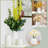 White Vase
