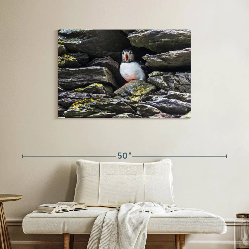 Crowle Resting Atlantic Puffin, 26" H x 39" W