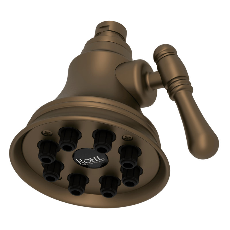 Multi Function Rain Adjustable Shower Head, English Bronze
