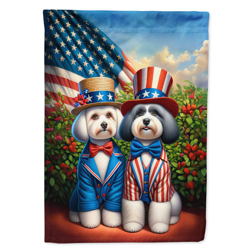 Drapeau All American Garden, Bichon havanais