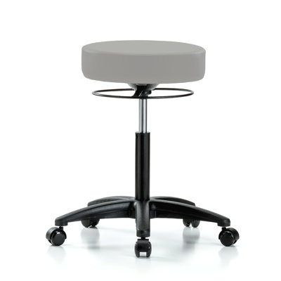 Adjustable Height Lab Stool with Removable Casters/Wheels