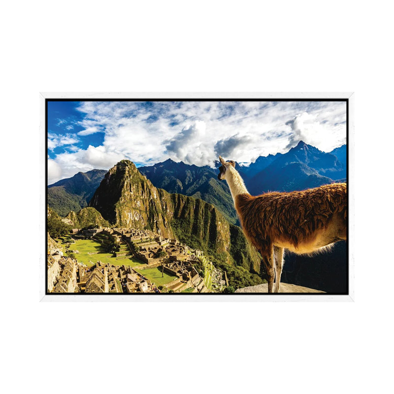 Peru Machu Picchu Lama Overlooking by Alex G Perez - Gallery-Wrapped Canvas Giclée on Canvas, 66.04 cm H x 45.72 cm W