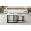 Damecia Coffee Table