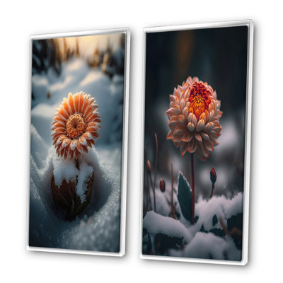 " A Blooming Light Orange Gerbera Flower In Winter " 2 - Pieces