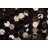 Isidore Chocolate Brown Rug