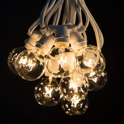 Outdoor 80 - Bulb 100'' Plug-in Globe String Light