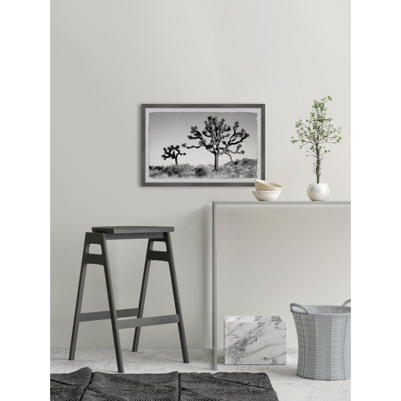 Mountain Top Trees - Single Picture Frame Print, 41cm H x 61cm W x 3.81cm D