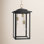 Birten Wrought Iron Outdoor Hanging Lantern