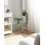 Plant Stand