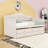 Twin Daybed with Pull-Out Twin Trundle and 2 Storage Drawers-536331318