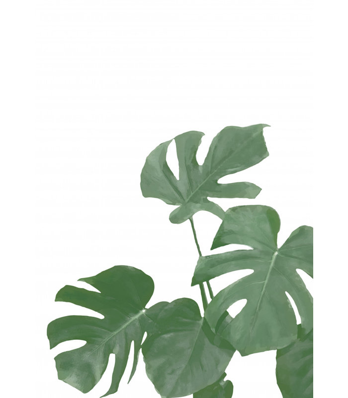 Monstera 04, 121.92cm H x 81.28cm W