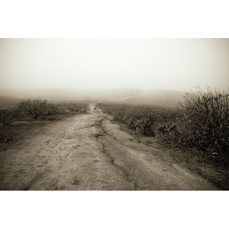 Desert road 173634408, 51cm H x 76cm W