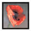 Rossa by Erin Clark - Floater Frame Print on Canvas-377008749-377008744