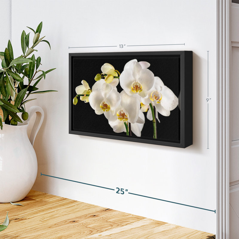 Fleurs fraîches d'orchidées blanches sur toile, H 9 po x l 13 po