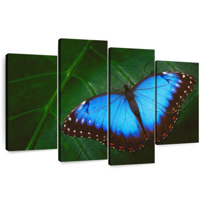 Brampt Pretty Blue Butterfly