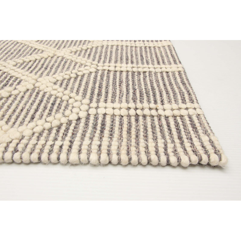 Hasnaa Performance Hand Braided Wool Rug