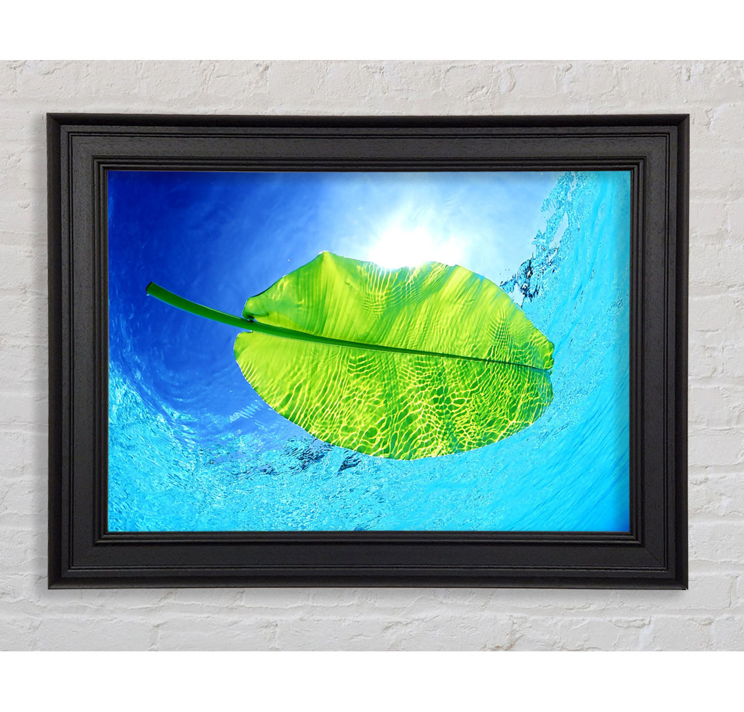 Blue Waters Of A Green Leaf Gerahmter Druck Wandkunst