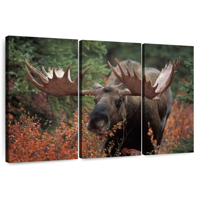 Moose Forest Meal, 32" H x 50" W