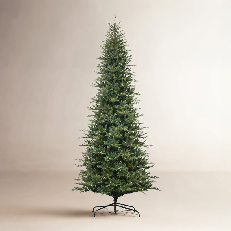 Grannia 12' Pre-Lit Fir Christmas Tree