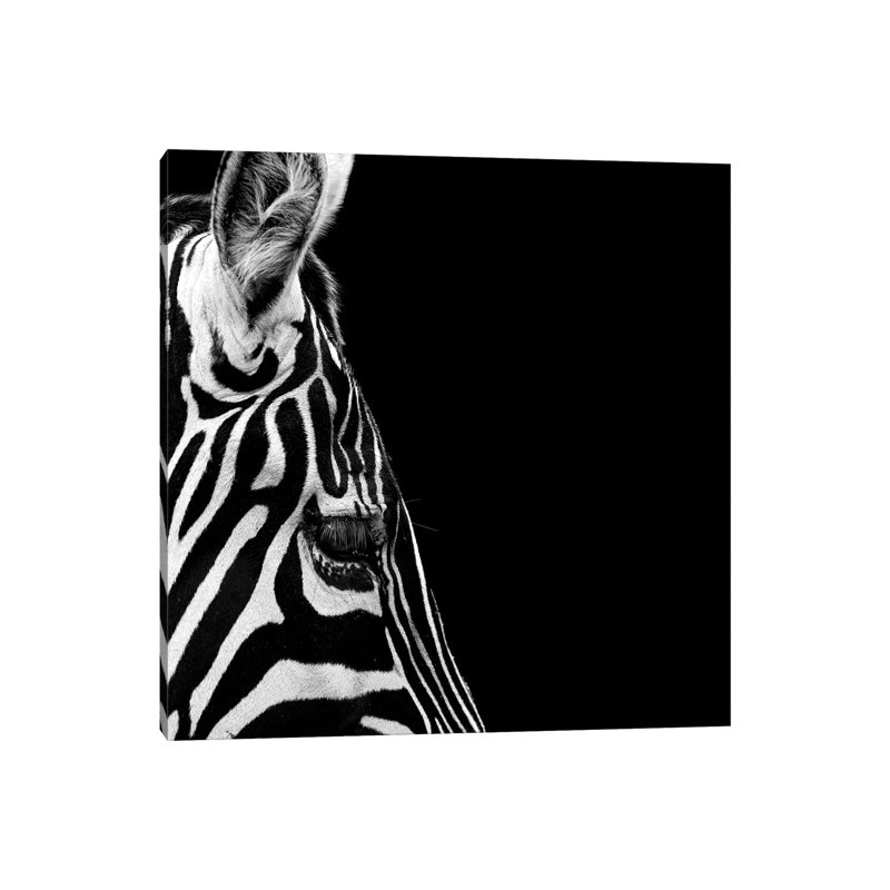 Zebra In Black And White III by Lukas Holas - Wrapped Canvas Print, 93.98cm H x 93.98cm W x 1.905cm D