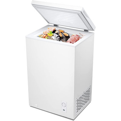 R.W.FLAME Portable 2.7 cu. ft. Garage Ready Chest Freezer with Adjustable Temperature Controls -  WH-D68BG80YJ