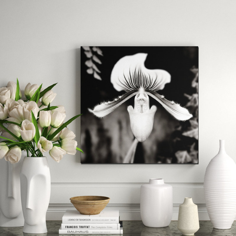 Beautiful Paphiopedilum Print, Square - 56" H x 56" W x 2.5" D, Paper