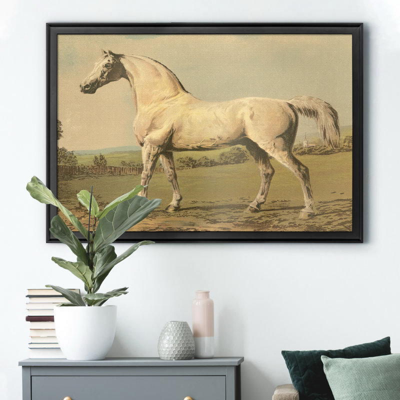 «Cassells Thoroughbred II», impression sur toile encadrée, Noir, H 18,5 po x l 24,5 po x P 1,5 po