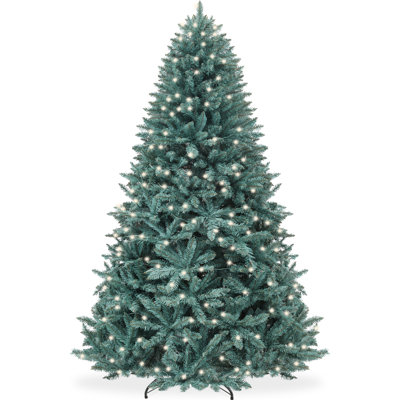 Lighted Christmas Tree